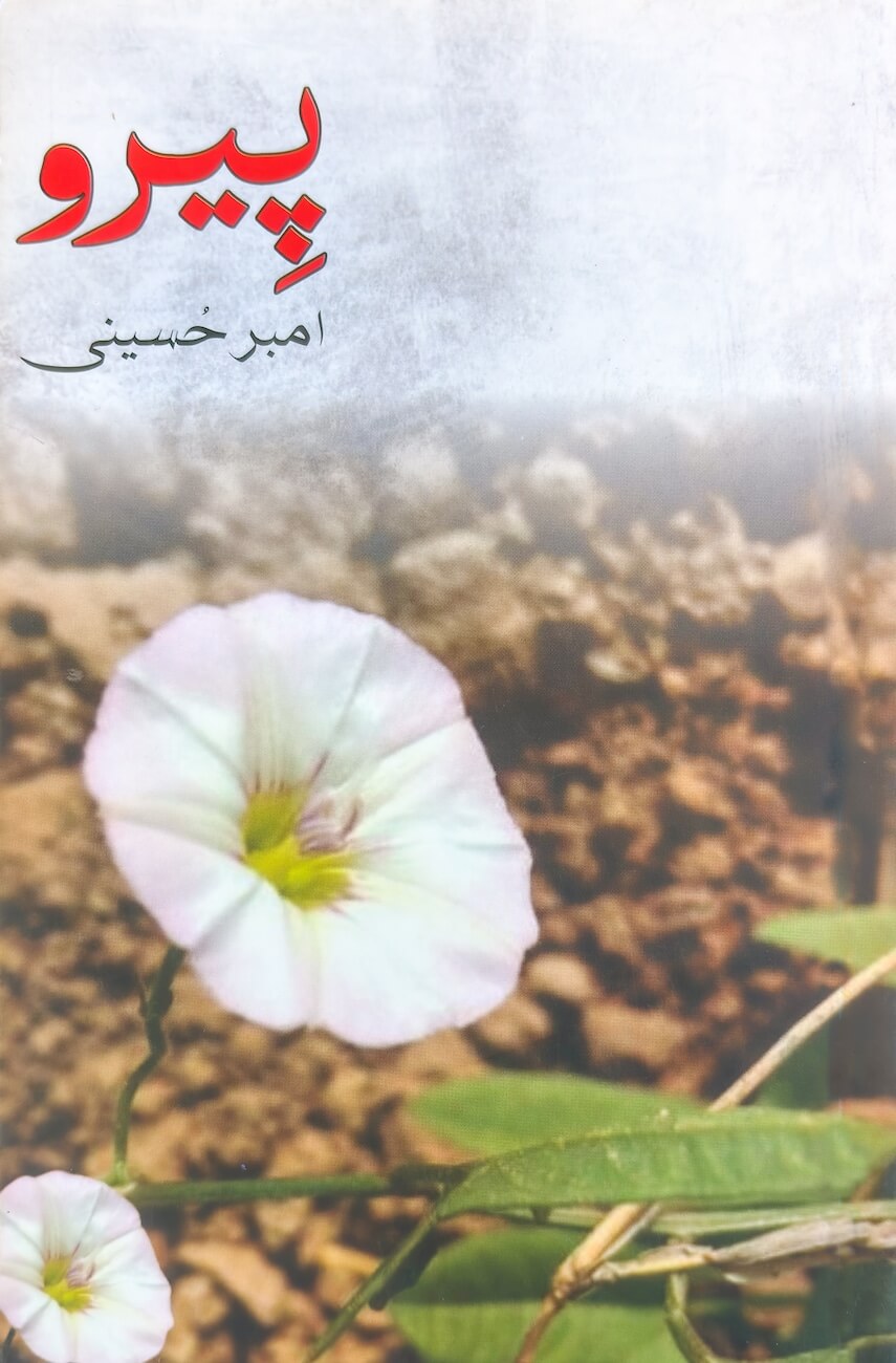 Peero - Novel by Amber Hosseini - book cover